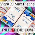 Vigra Xl Max Platinum kamagra1